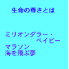 やまばとホール 11/20