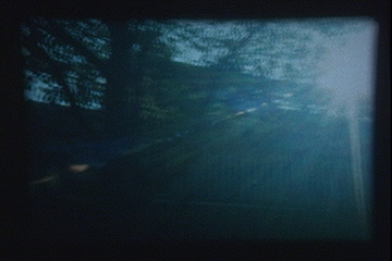 No. 39