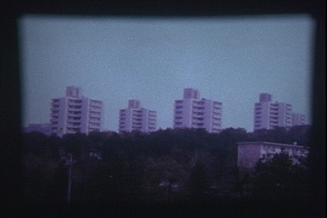 No. 40